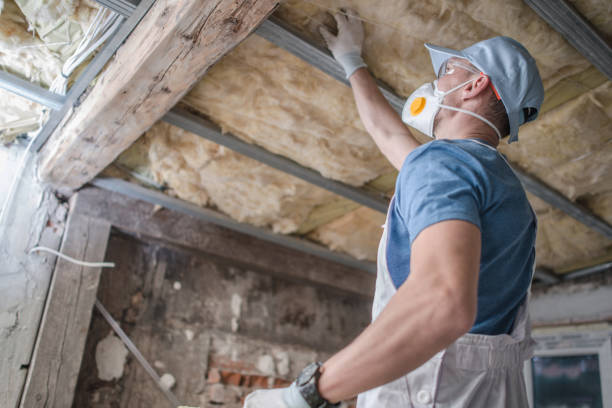 Best Insulation for Specific Applications in Exander City, AL