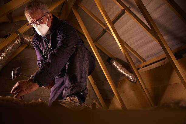Best Residential Insulation in Exander City, AL